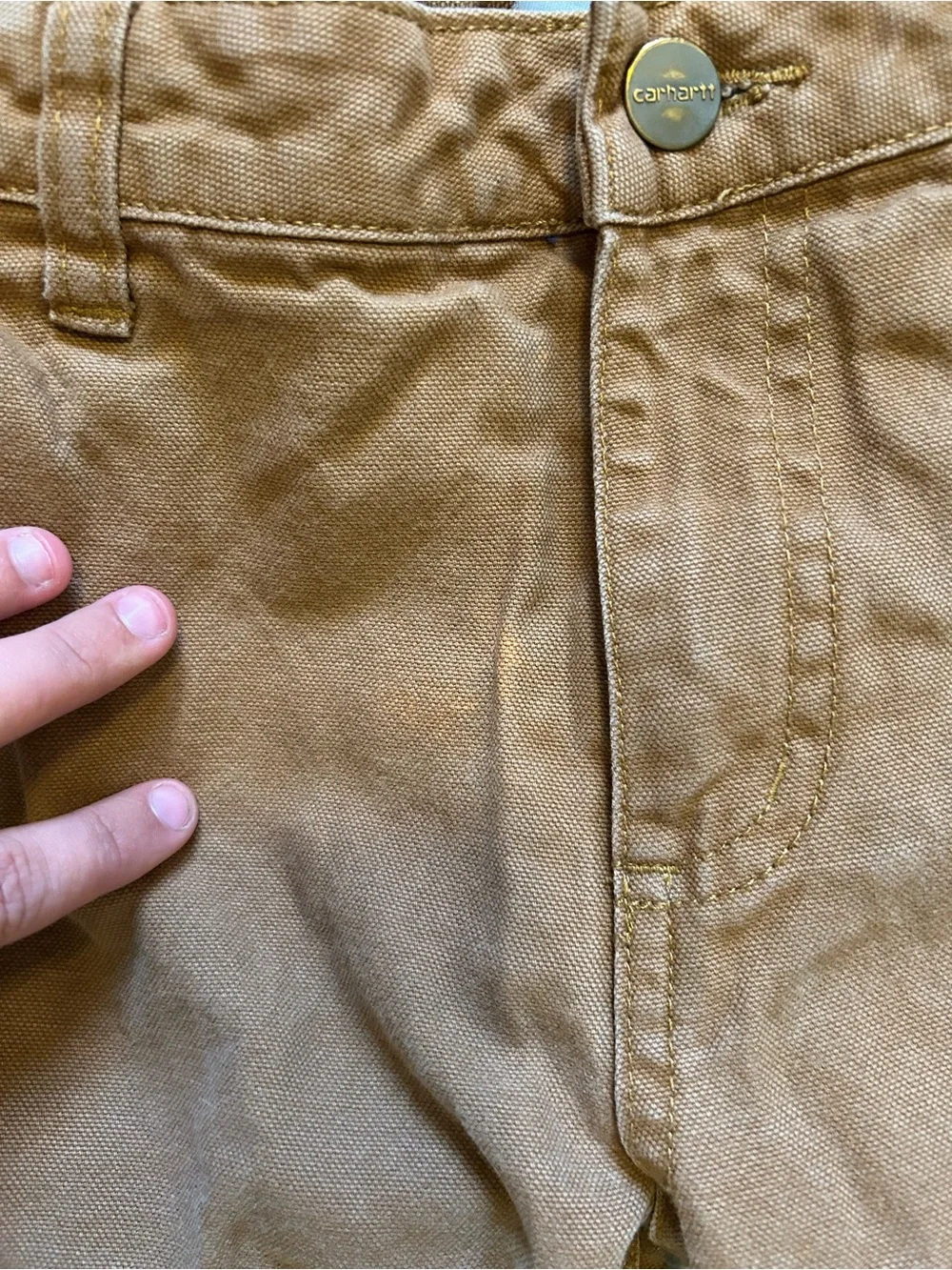 Carhartt Brown Cargo Work Pants